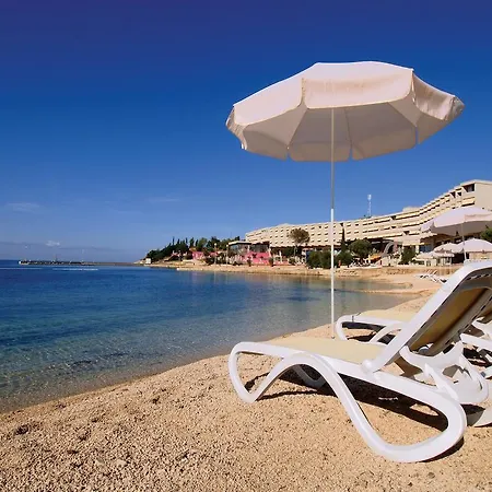 Apartman Studio Amicis *
